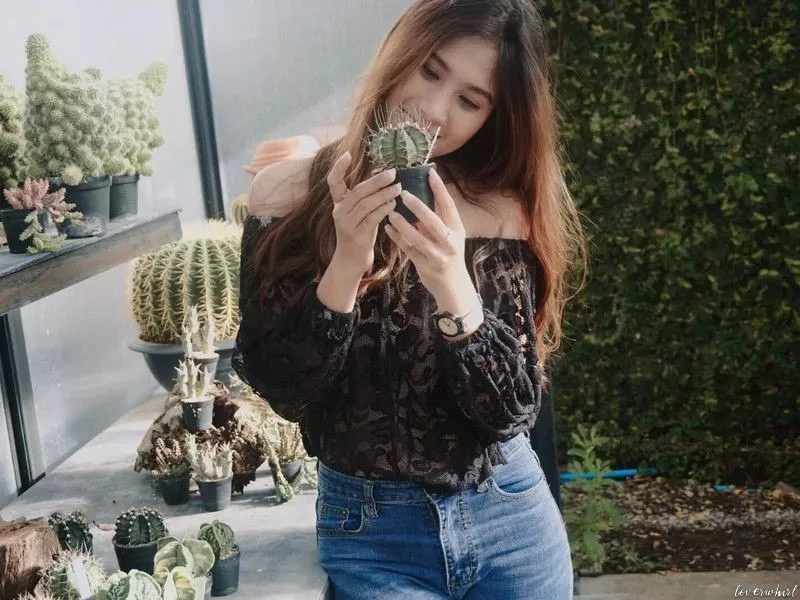 Bebyapa Profile image 1